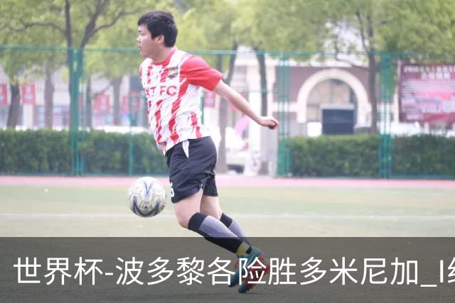 世界杯-波多黎各险胜多米尼加 I组4队均3胜1负