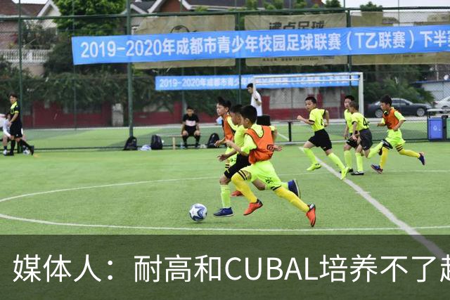 媒体人：耐高&CUBAL培养不了赵博新&张宇辰这些好苗子 赶紧送出国